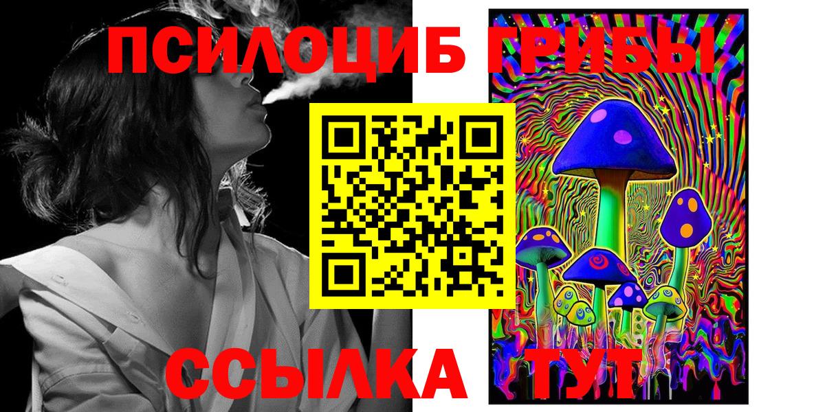 Галлюциногенные грибы Psilocybine cubensis Калининград