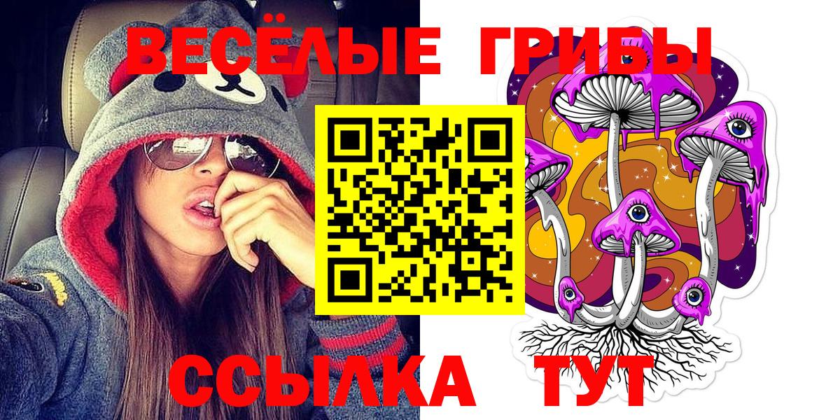 Галлюциногенные грибы MAGIC MUSHROOMS  Вход с VPN  Калининград 